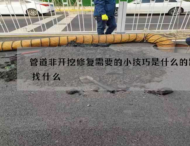 管道非开挖修复需要的小技巧是什么的需求找什么
