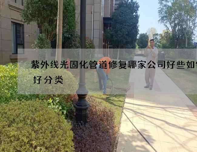 紫外线光固化管道修复哪家公司好些如何做好分类