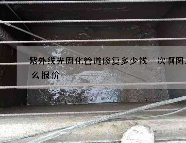 紫外线光固化管道修复多少钱一次啊图片怎么报价