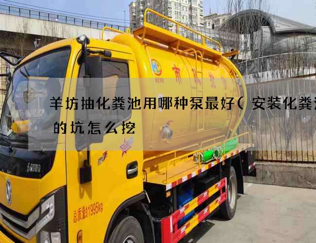 羊坊抽化粪池用哪种泵最好(安装化粪池罐的坑怎么挖) 羊坊抽化粪池用哪种泵最好(安装化粪池罐的坑怎么挖)