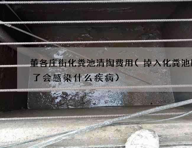 董各庄街化粪池清掏费用(掉入化粪池腿破了会感染什么疾病)