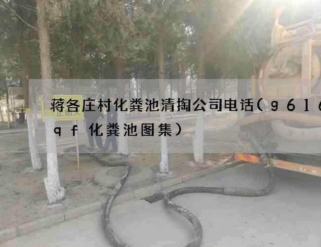 蒋各庄村化粪池清掏公司电话(g616sqf化粪池图集)