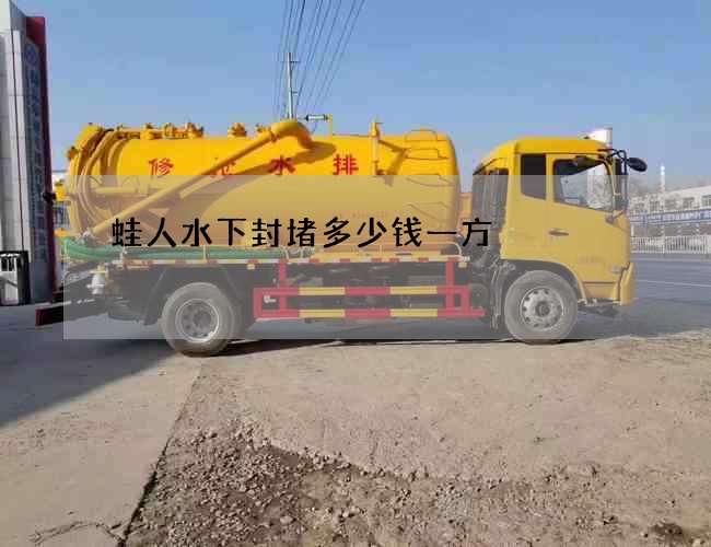 蛙人水下封堵多少钱一方
