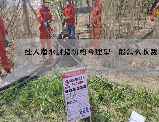 蛙人潜水封堵价格合理型一般怎么收费