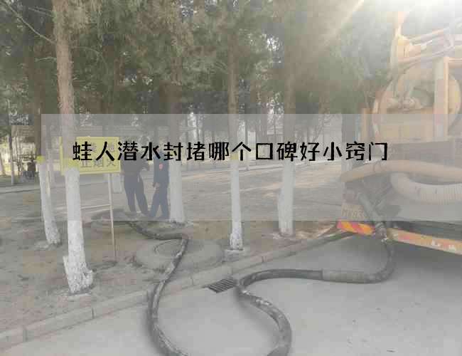 蛙人潜水封堵哪个口碑好小窍门