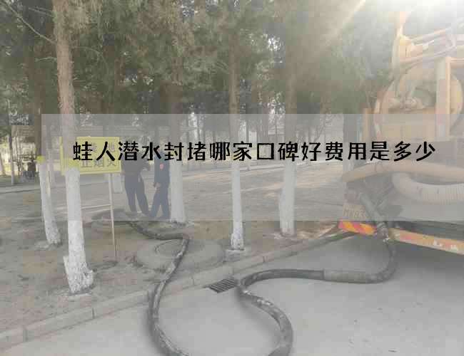 蛙人潜水封堵哪家口碑好费用是多少 蛙人潜水封堵哪家口碑好费用是多少