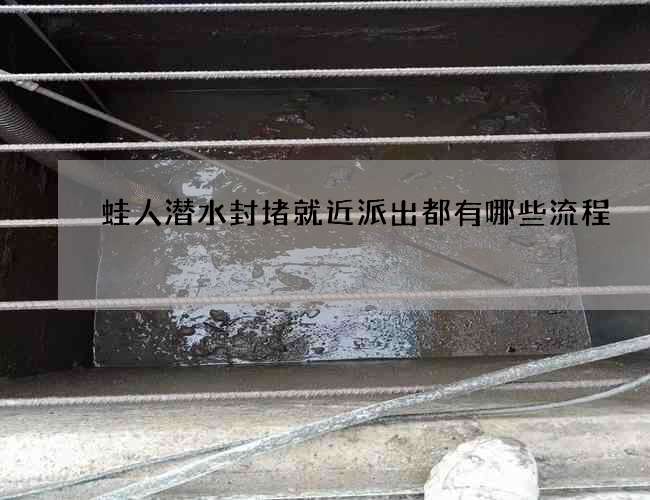 蛙人潜水封堵就近派出都有哪些流程