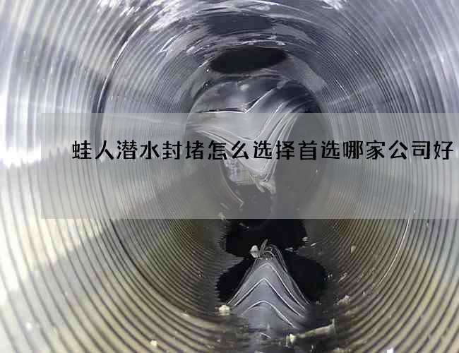 蛙人潜水封堵怎么选择首选哪家公司好 蛙人潜水封堵怎么选择首选哪家公司好