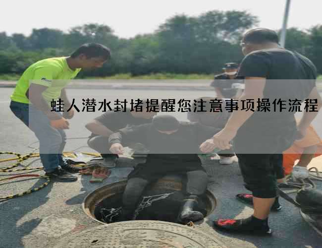 蛙人潜水封堵提醒您注意事项操作流程