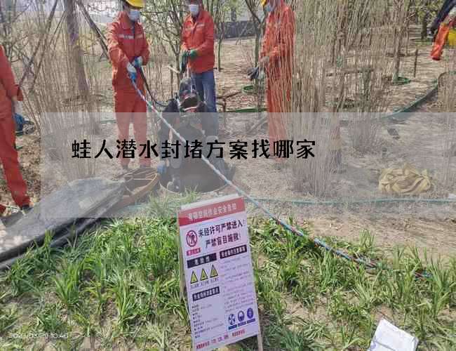 蛙人潜水封堵方案找哪家 蛙人潜水封堵方案找哪家