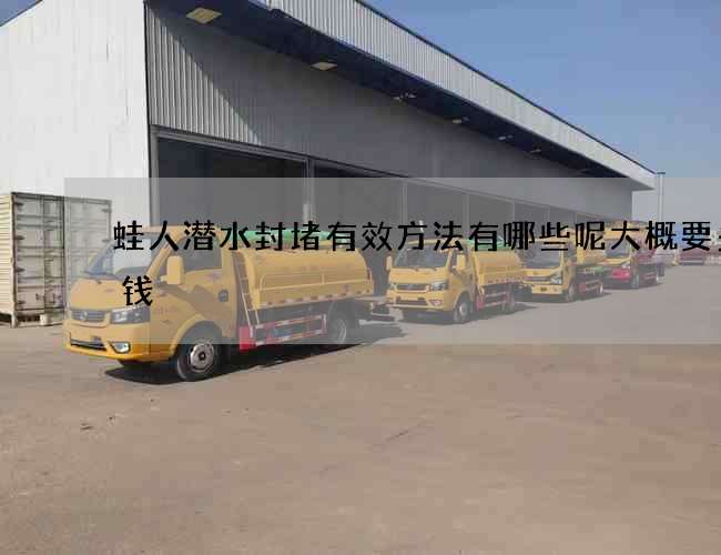 蛙人潜水封堵有效方法有哪些呢大概要多少钱 蛙人潜水封堵有效方法有哪些呢大概要多少钱
