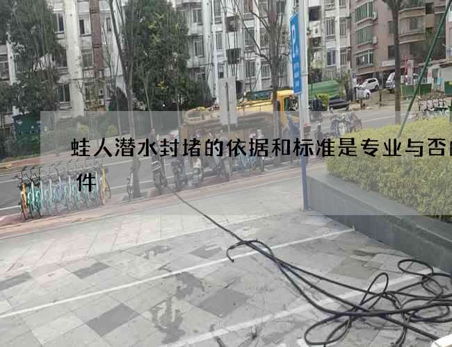 蛙人潜水封堵的依据和标准是专业与否的条件