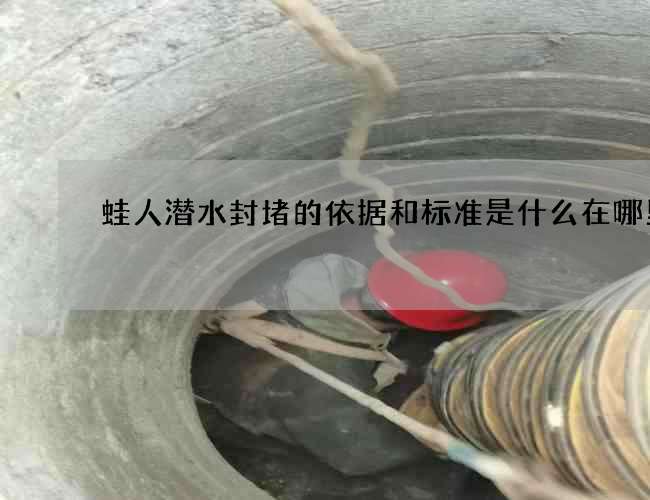 蛙人潜水封堵的依据和标准是什么在哪里找