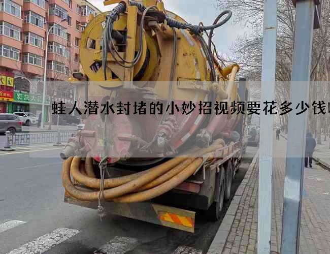 蛙人潜水封堵的小妙招视频要花多少钱呢