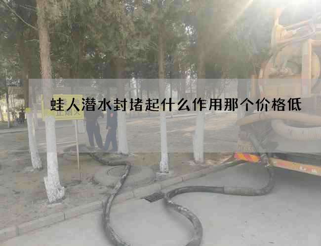 蛙人潜水封堵起什么作用那个价格低 蛙人潜水封堵起什么作用那个价格低