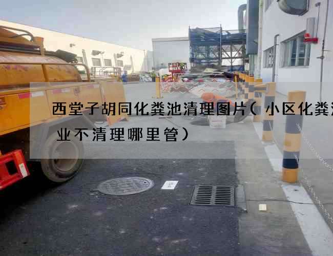 西堂子胡同化粪池清理图片(小区化粪池物业不清理哪里管)