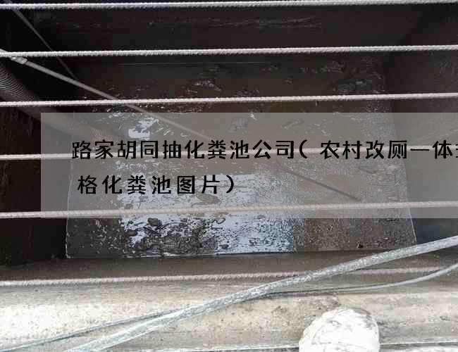 路家胡同抽化粪池公司(农村改厕一体式三格化粪池图片)