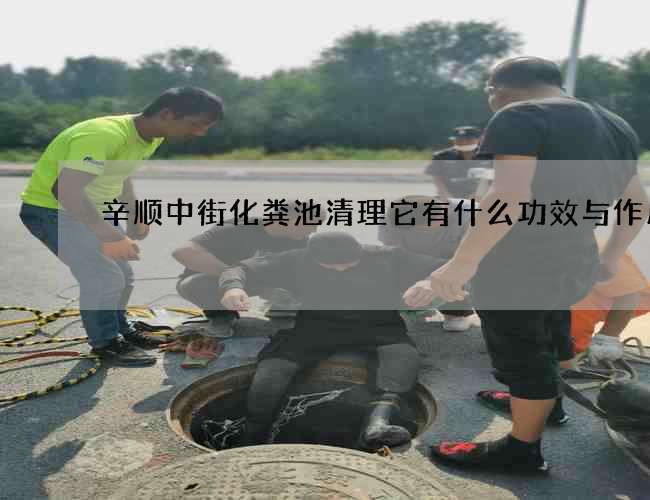 辛顺中街化粪池清理它有什么功效与作用
