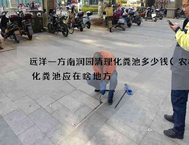 远洋一方南润园清理化粪池多少钱(农村房化粪池应在啥地方) 远洋一方南润园清理化粪池多少钱(农村房化粪池应在啥地方)