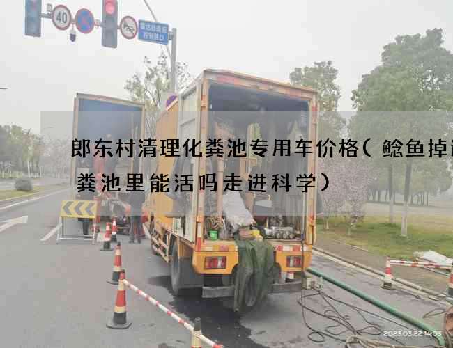 郎东村清理化粪池专用车价格(鲶鱼掉进化粪池里能活吗走进科学)