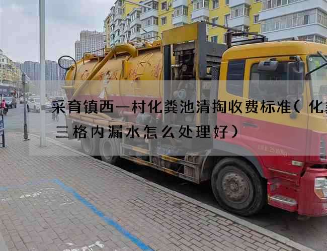 采育镇西一村化粪池清掏收费标准(化粪池三格内漏水怎么处理好)