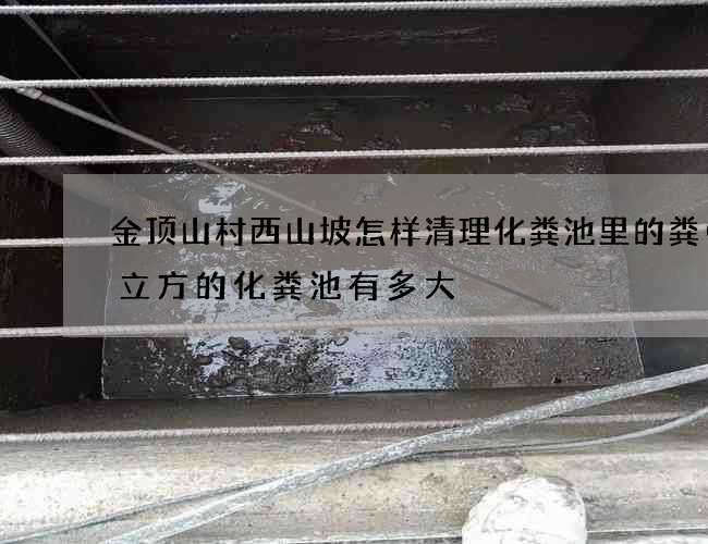 金顶山村西山坡怎样清理化粪池里的粪(四立方的化粪池有多大) 金顶山村西山坡怎样清理化粪池里的粪(四立方的化粪池有多大)