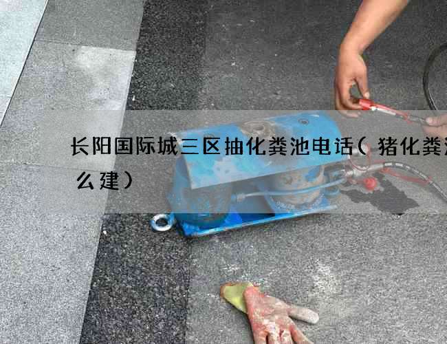 长阳国际城三区抽化粪池电话(猪化粪池怎么建)