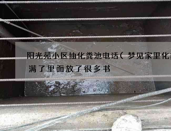 阳光苑小区抽化粪池电话(梦见家里化粪池满了里面放了很多书) 阳光苑小区抽化粪池电话(梦见家里化粪池满了里面放了很多书)