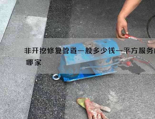 非开挖修复管道一般多少钱一平方服务的是哪家