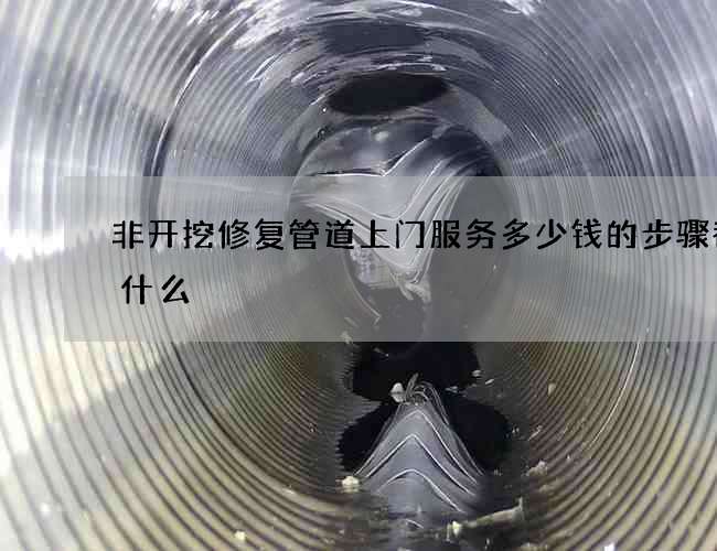 非开挖修复管道上门服务多少钱的步骤都有什么