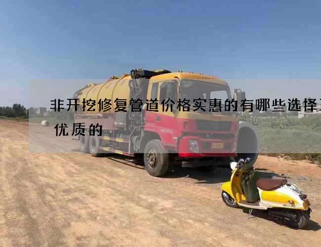 非开挖修复管道价格实惠的有哪些选择正规优质的