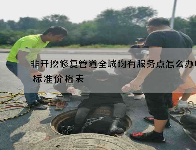非开挖修复管道全城均有服务点怎么办收费标准价格表