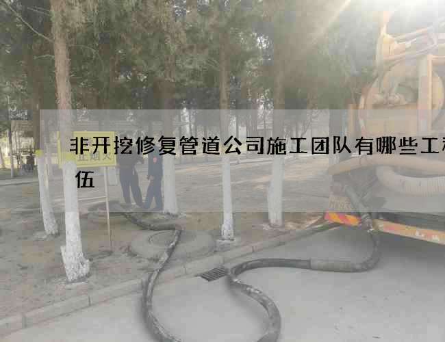 非开挖修复管道公司施工团队有哪些工程队伍 非开挖修复管道公司施工团队有哪些工程队伍