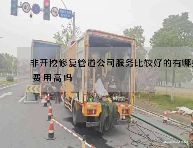非开挖修复管道公司服务比较好的有哪些的费用高吗 非开挖修复管道公司服务比较好的有哪些的费用高吗