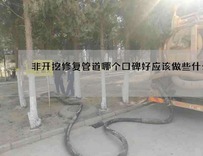 非开挖修复管道哪个口碑好应该做些什么