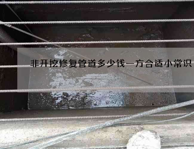 非开挖修复管道多少钱一方合适小常识