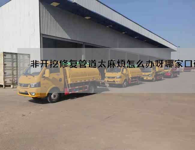 非开挖修复管道太麻烦怎么办呀哪家口碑好