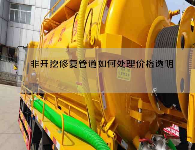 非开挖修复管道如何处理价格透明