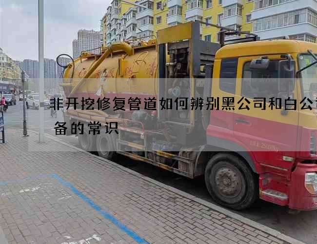 非开挖修复管道如何辨别黑公司和白公司必备的常识