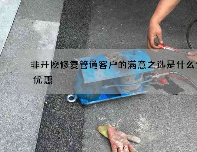 非开挖修复管道客户的满意之选是什么价格优惠