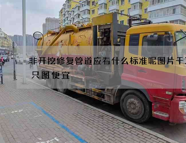 非开挖修复管道应看什么标准呢图片千万别只图便宜