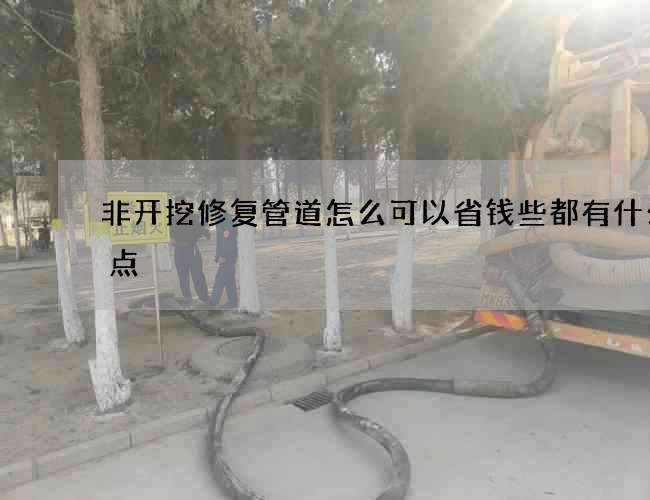 非开挖修复管道怎么可以省钱些都有什么特点