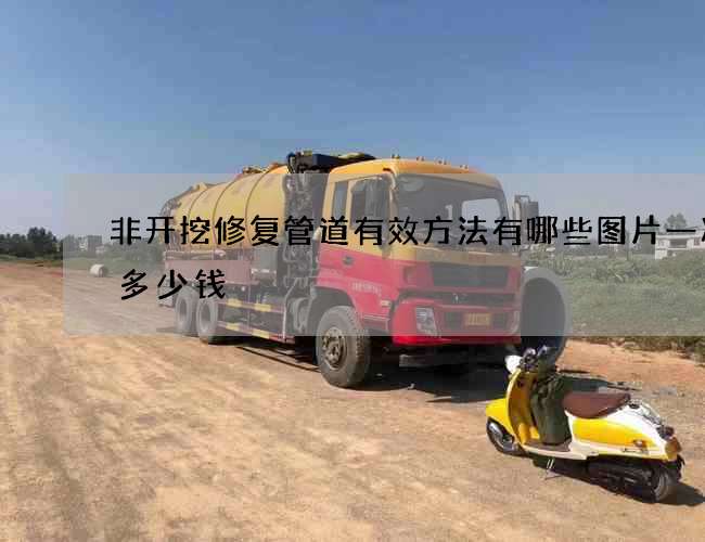 非开挖修复管道有效方法有哪些图片一次要多少钱