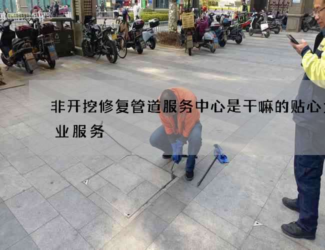 非开挖修复管道服务中心是干嘛的贴心为企业服务
