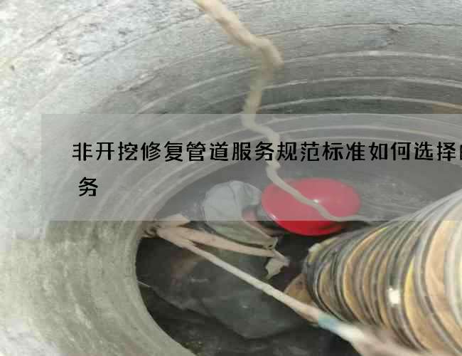 非开挖修复管道服务规范标准如何选择的服务