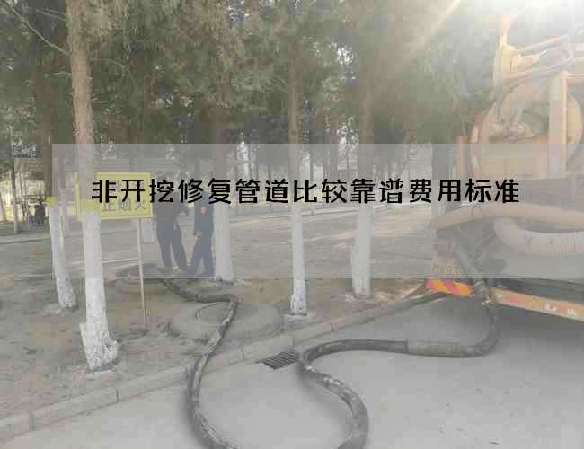 非开挖修复管道比较靠谱费用标准