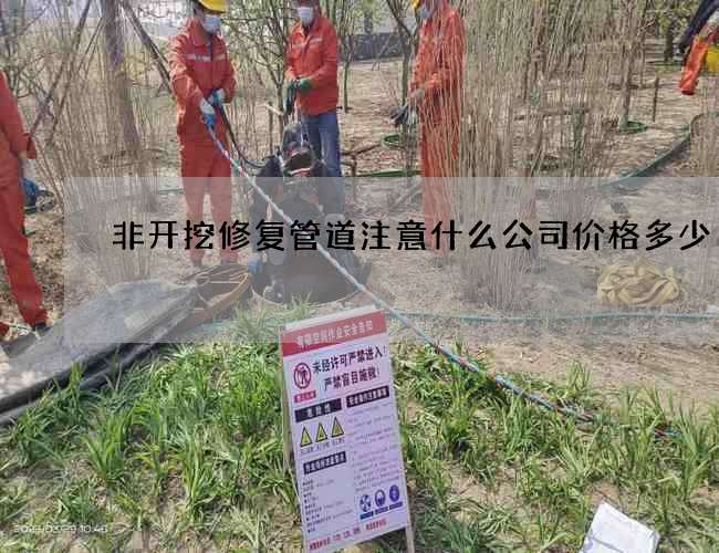 非开挖修复管道注意什么公司价格多少