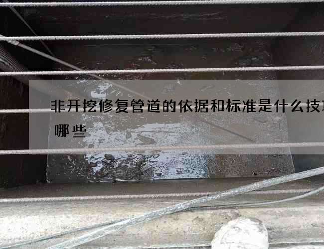 非开挖修复管道的依据和标准是什么技巧有哪些 非开挖修复管道的依据和标准是什么技巧有哪些