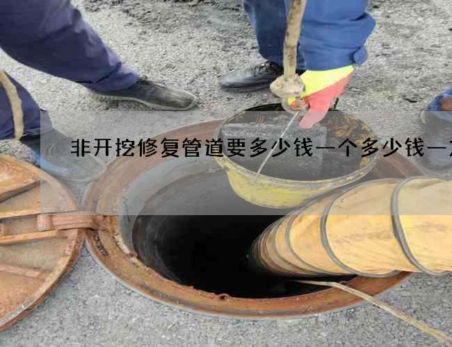 非开挖修复管道要多少钱一个多少钱一方