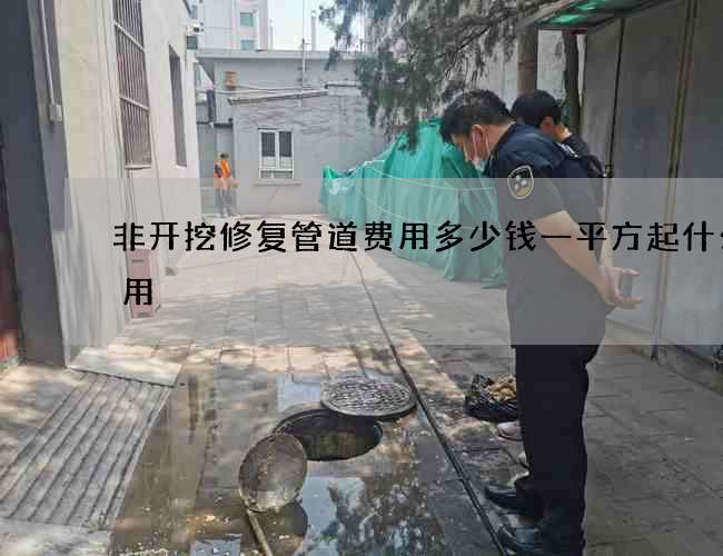 非开挖修复管道费用多少钱一平方起什么作用